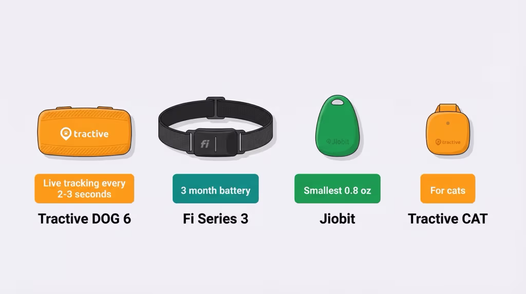 All four GPS pet trackers compared: Tractive DOG 6, Fi Series 3+, Jiobit, and Tractive CAT