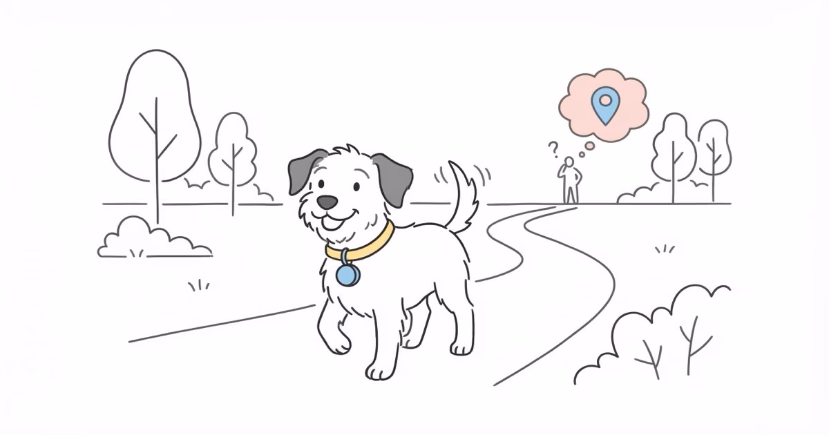 Can You Use an AirTag to Track Your Dog? The Honest Answer