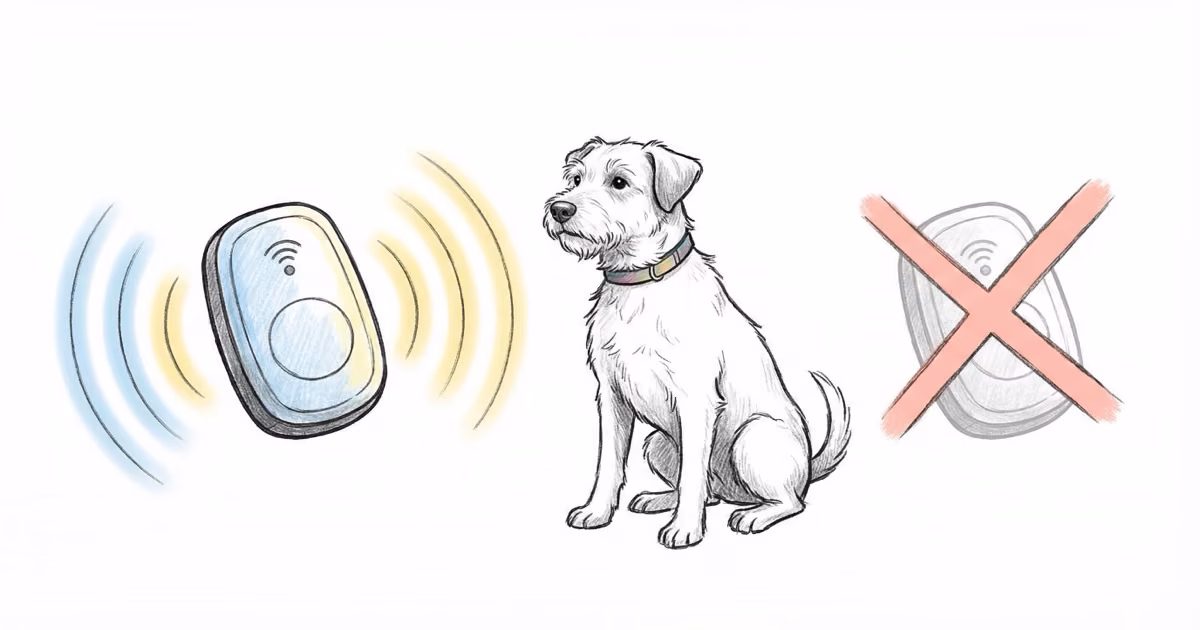 Fi vs Whistle: Which GPS Dog Tracker Should You Buy in 2026?