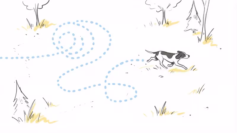 Garmin Alpha 10 handheld showing dog tracking direction and distance on the monochrome display