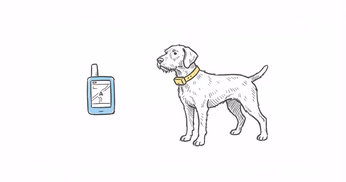 Garmin Alpha 10 Review: The Lightest Dog Tracking Handheld