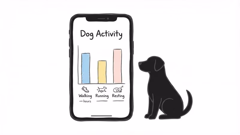 PitPat app dashboard showing daily activity breakdown and exercise goals