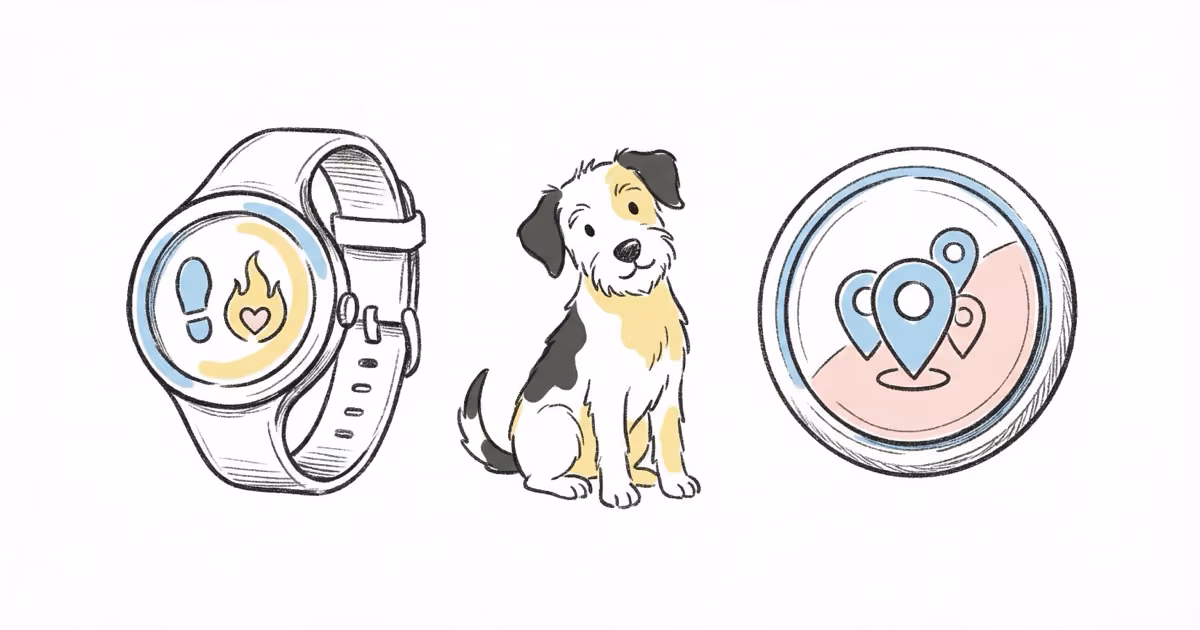 PitPat vs AirTag: Which Dog Tracker Should You Pick?