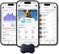 FitBark GPS