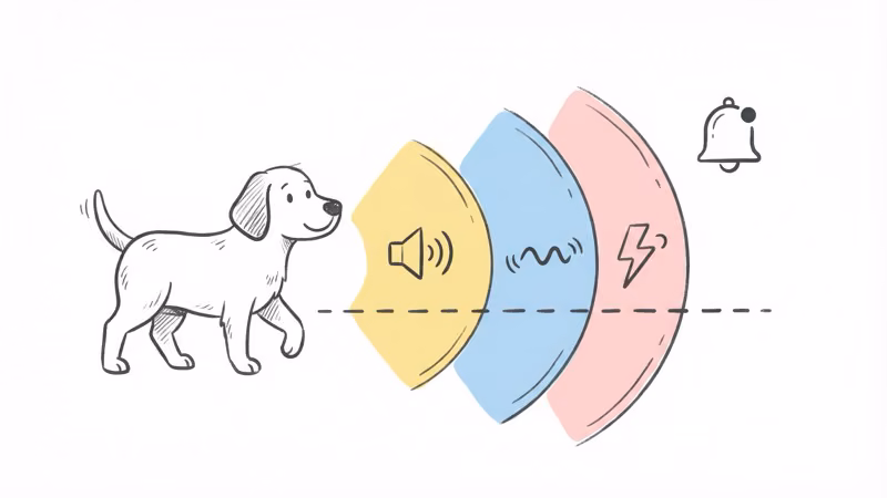 SpotOn GPS collar correction levels showing tone, vibration, and static options
